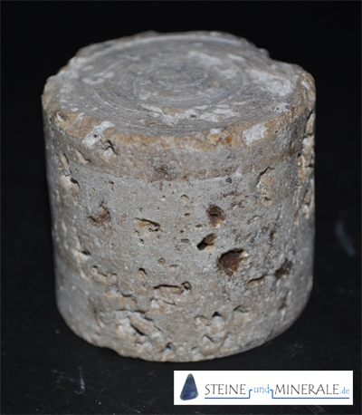 shell limestone - Aufnahme des Minerals